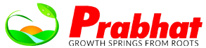 Prabhat Fertilizers& Chemical works